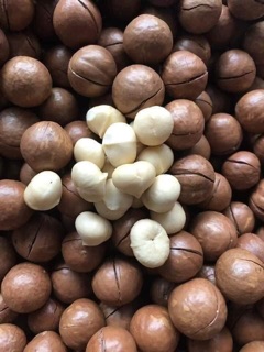 500g MẮCCA SẤY NỨT ĐẮK LẮK( size đại)