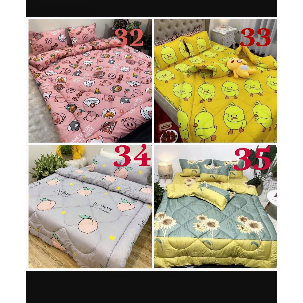 Trọn bộ chăn phao Bo Decor 5 món ga gối poly coton