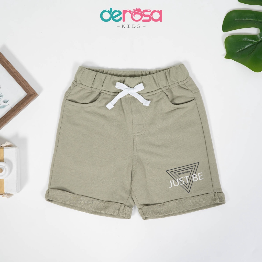 Bộ quần áo bé trai DEROSA KIDS chất liệu cotton cho bé 2-6 tuổi KD035-448-532