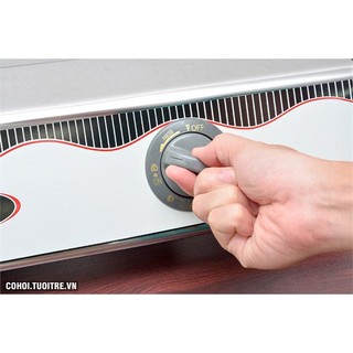 Bếp gas Rinnai RV – 460 (SB) (Bạc)