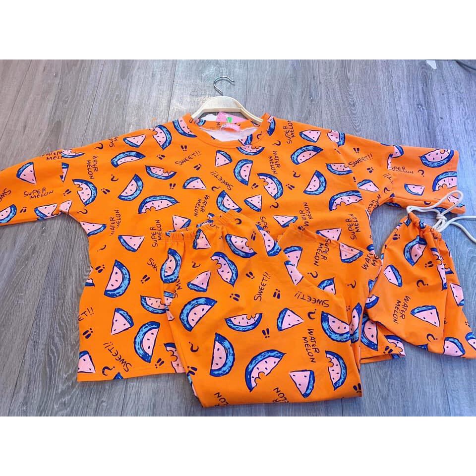 Đồ Bộ Pijama Thun Cotton Tay Ngắn Quần Lửng Họa Tiết Hoạt Hình Dễ Thương Tặng Kèm Túi P1