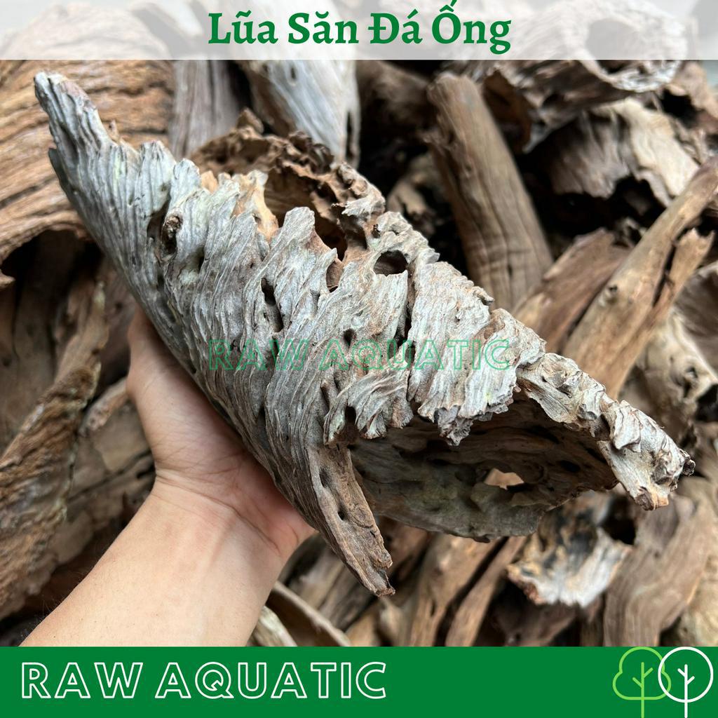 Lũa Săn Đá Ống Trang Trí, Setup Bể Cá Cảnh, Bể Thủy Sinh