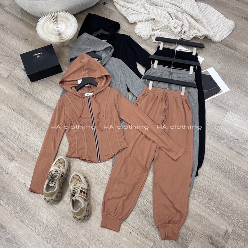 Bộ thể thao bo gấu (sale)