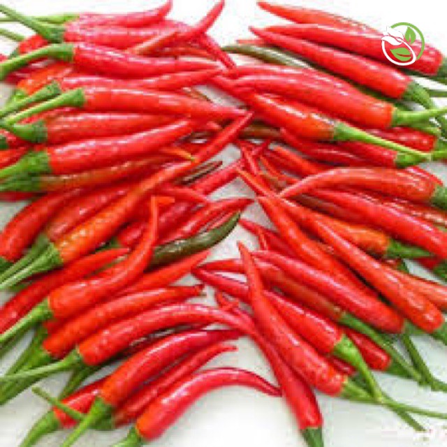 Hạt Giống Ớt Chỉ Thiên Siêu Cay F1 PN-168 Phú Nông - Gói 0.1g - Hot Pepper