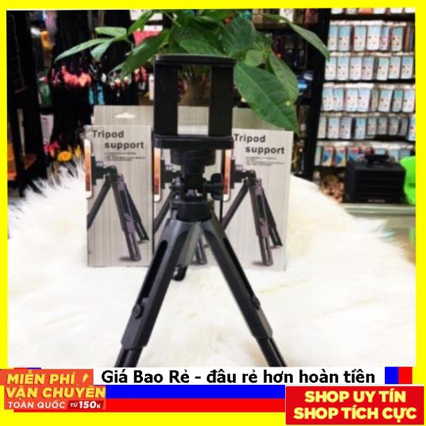 Bao giá toàn quốc Gậy tripod để bàn chân cao nhựa cao cấp