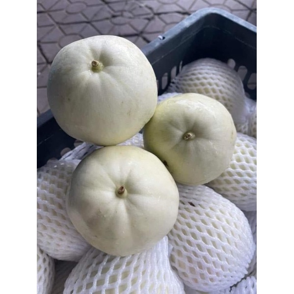 Dưa Lê Ninh Thuận Bao Ngon