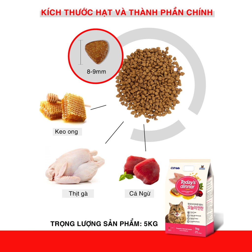 Hạt Today's Dinner cho mèo mọi lứa tuổi - mèo con - mèo trưởng thành túi 1kg Bốn Chân Pet Shop