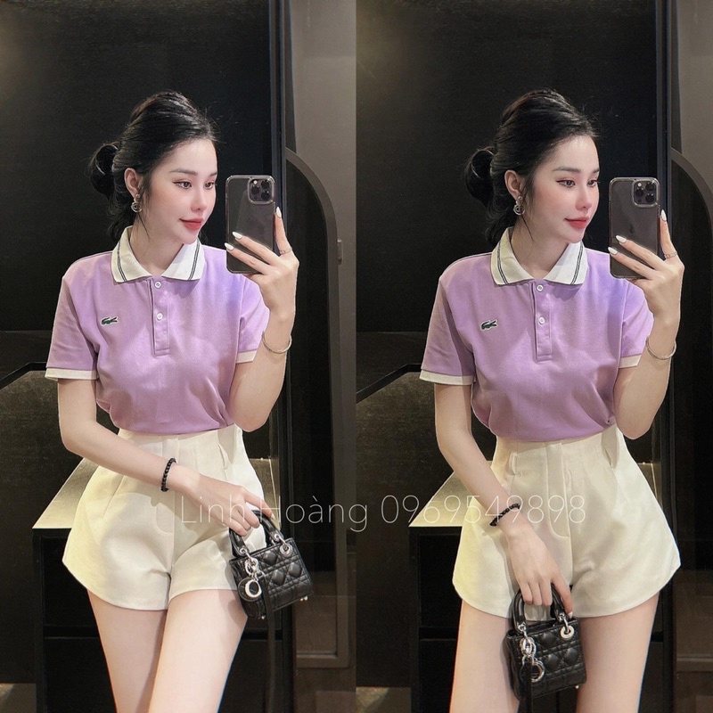 ÁO POLO CÁ SẤU MÀU TÍM VÀ XANH - cổ trắng viền