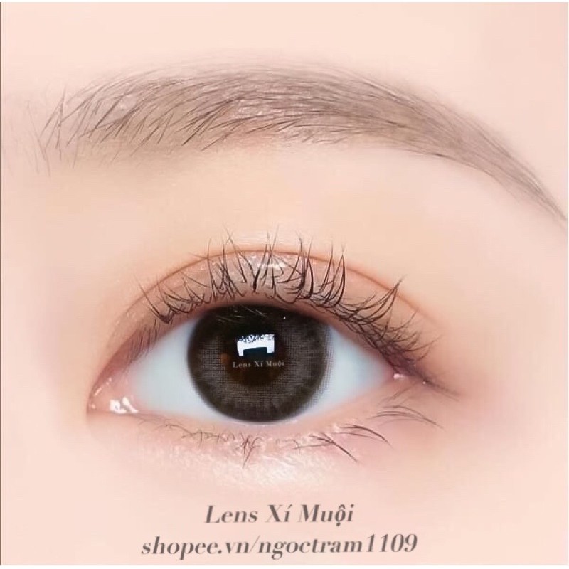 Lens xám Thari  giãn nhẹ(0-6 độ)