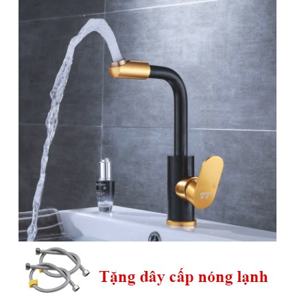 Vòi lavabo nóng lạnh Richtree cắm chậu 1 trụ FL36 đồng sơn tĩnh điện không bong tróc+ tặng bộ dây cấp nóng lạnh