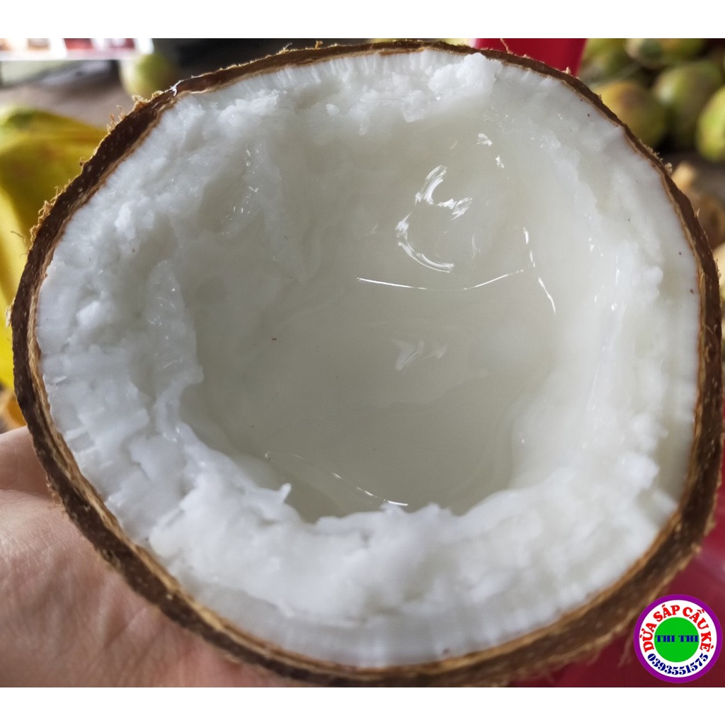 DỪA SÁP LOẠI 2 TRÁI LỚN