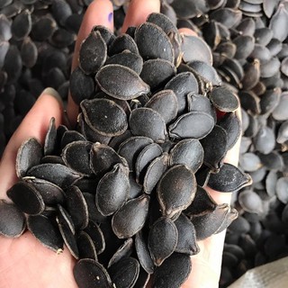 500g Hạt Bí Mèo Đen