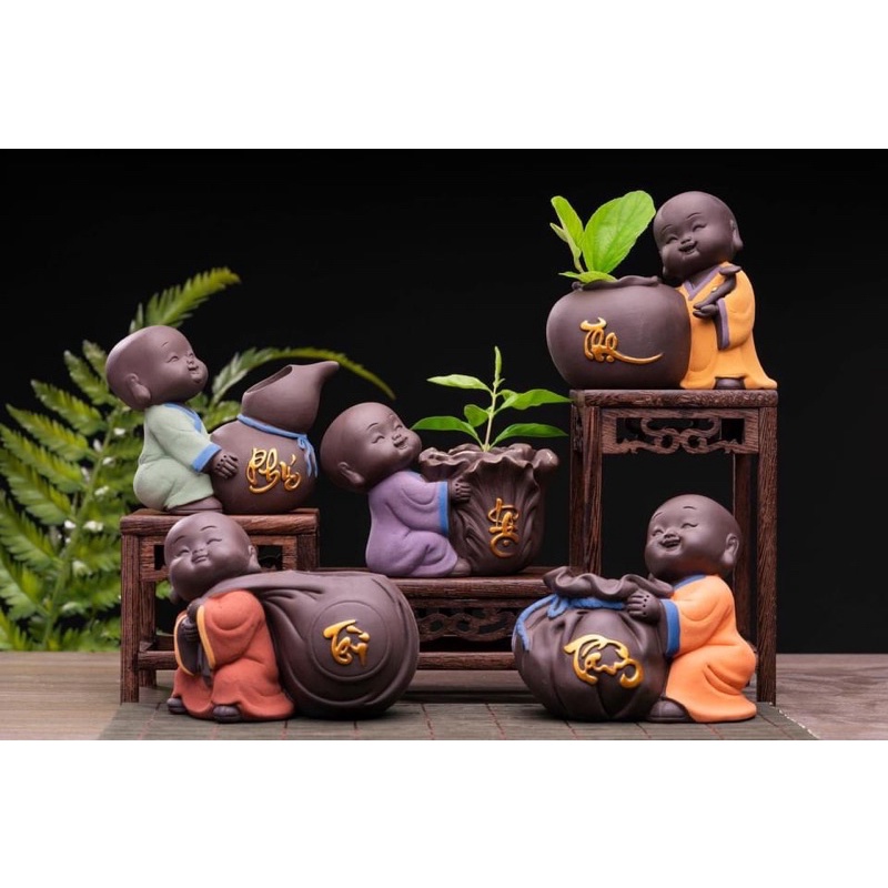 trồng cây, set tiểu cảnh