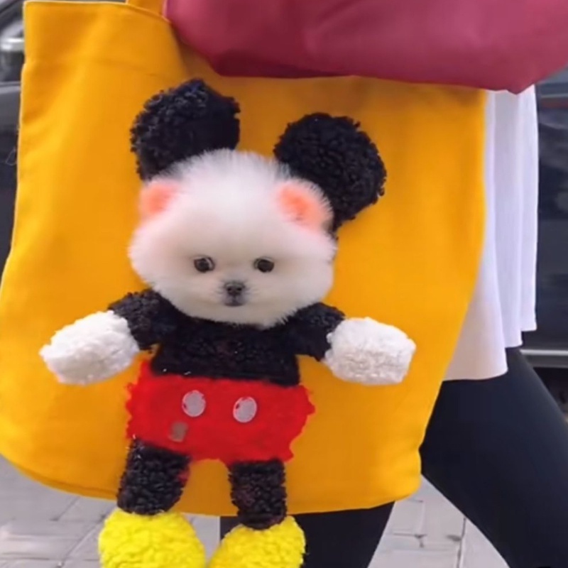 Túi Đeo Vai Hình Mặt Cười Dễ Thương Dành Cho Thú Cưng/Mèo Cưng/Cún Nhỏ/Mèo Cưng DIY