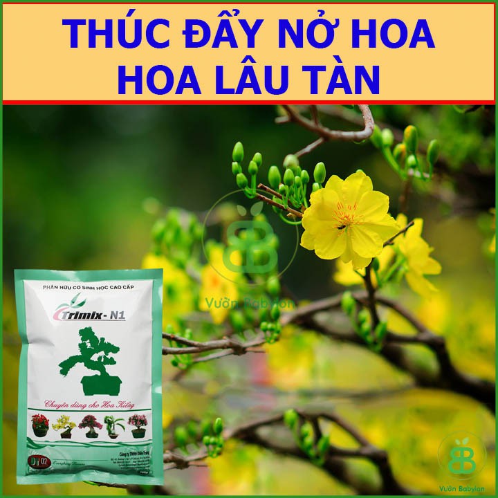 Phân Hữu Cơ Sinh Học Bình Điền