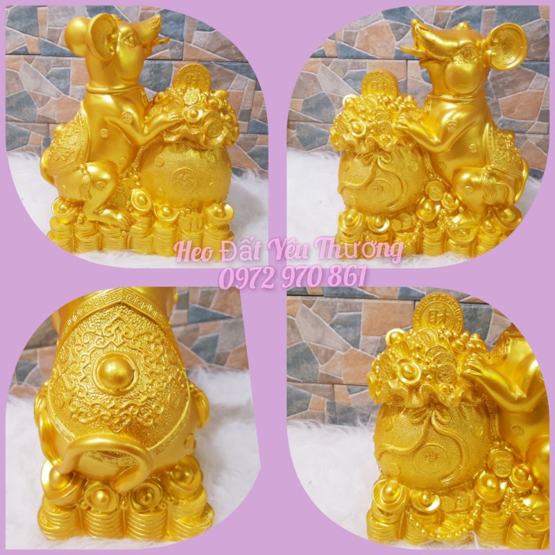 Chuột vàng tiết kiệm kích thước to