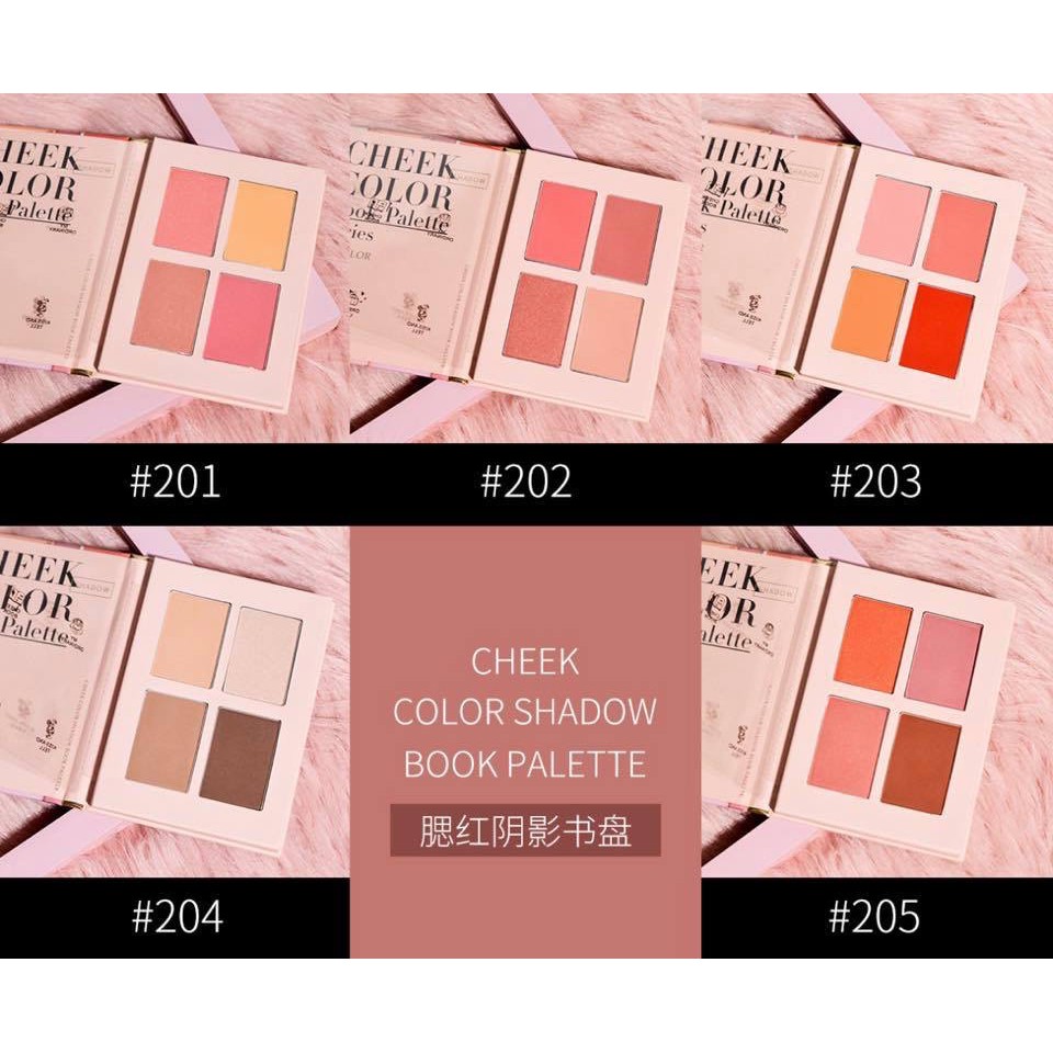 (HÀNG NỘI ĐỊA TRUNG) HOLD LIVE - Bảng má Cheek Color Shadow Book Palette