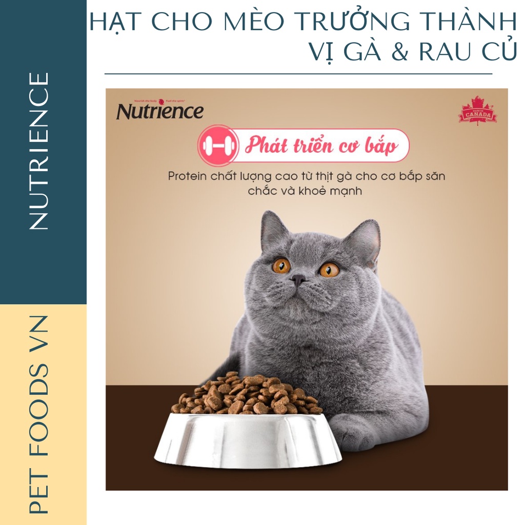 Hạt cho mèo trưởng thành NUTRIENCE Original Cat 500g vị Gà