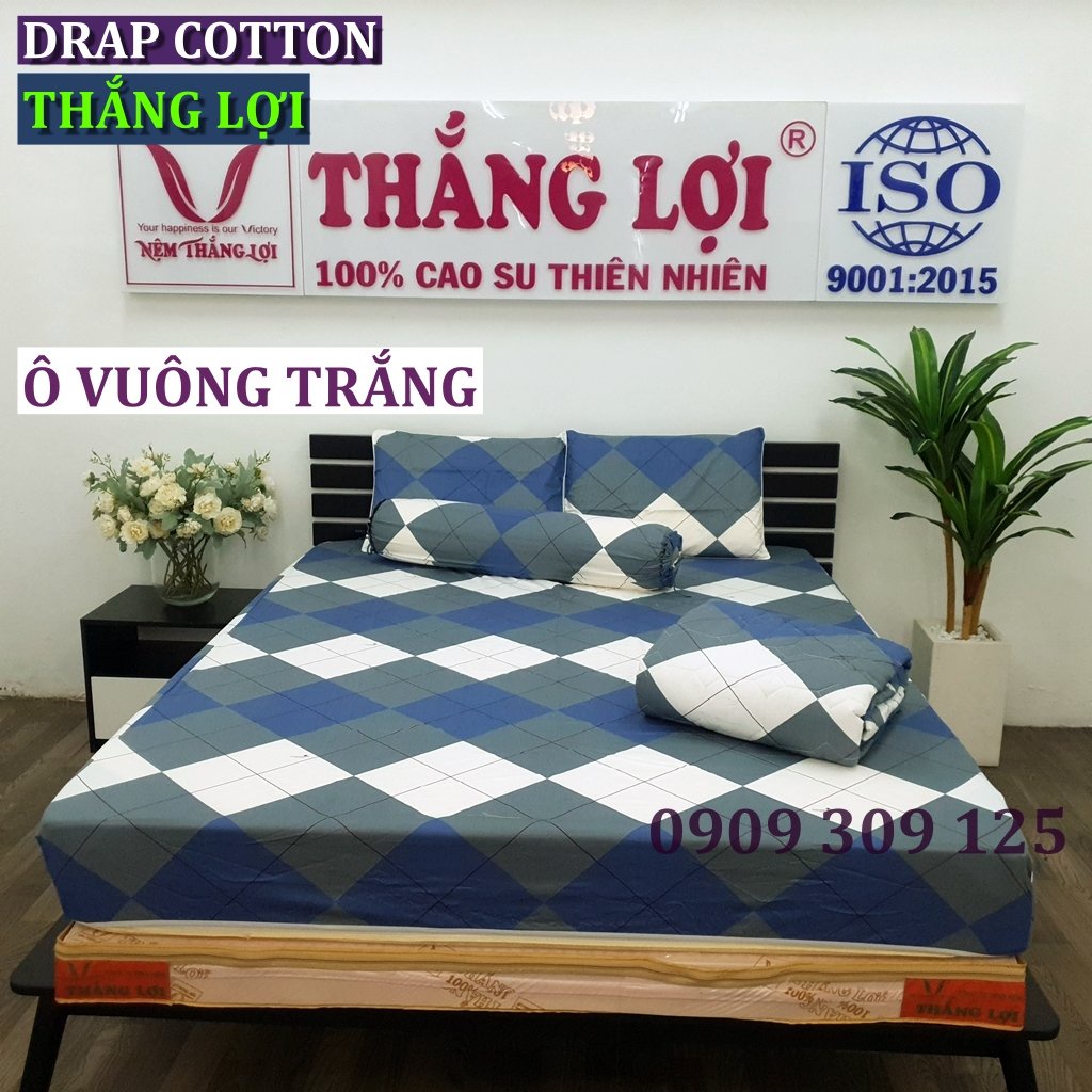 bộ ga Thắng lợi cotton, ga giường IN LOGO (4 món) (mẫu ô xanh xám) ảnh thật