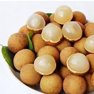Long Nhãn Sấy Khô
