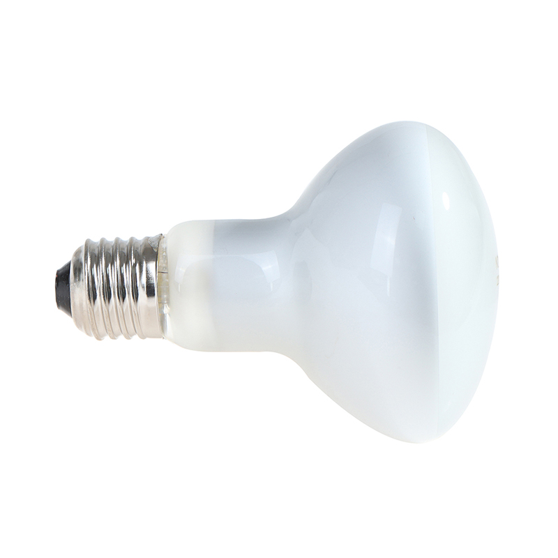 Bóng Đèn Sưởi Ấm Uva + Uvb Cho Động Vật Bò Sát | BigBuy360 - bigbuy360.vn