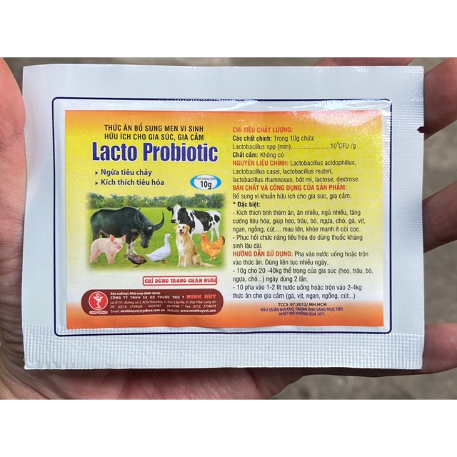 Lacto probiotic - bổ sung men vi sinh có lợi cho vật nuôi