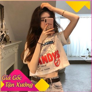 Áo croptop nữ , áo thun croptop cổ tròn tay ngắn MEDIA đẹp