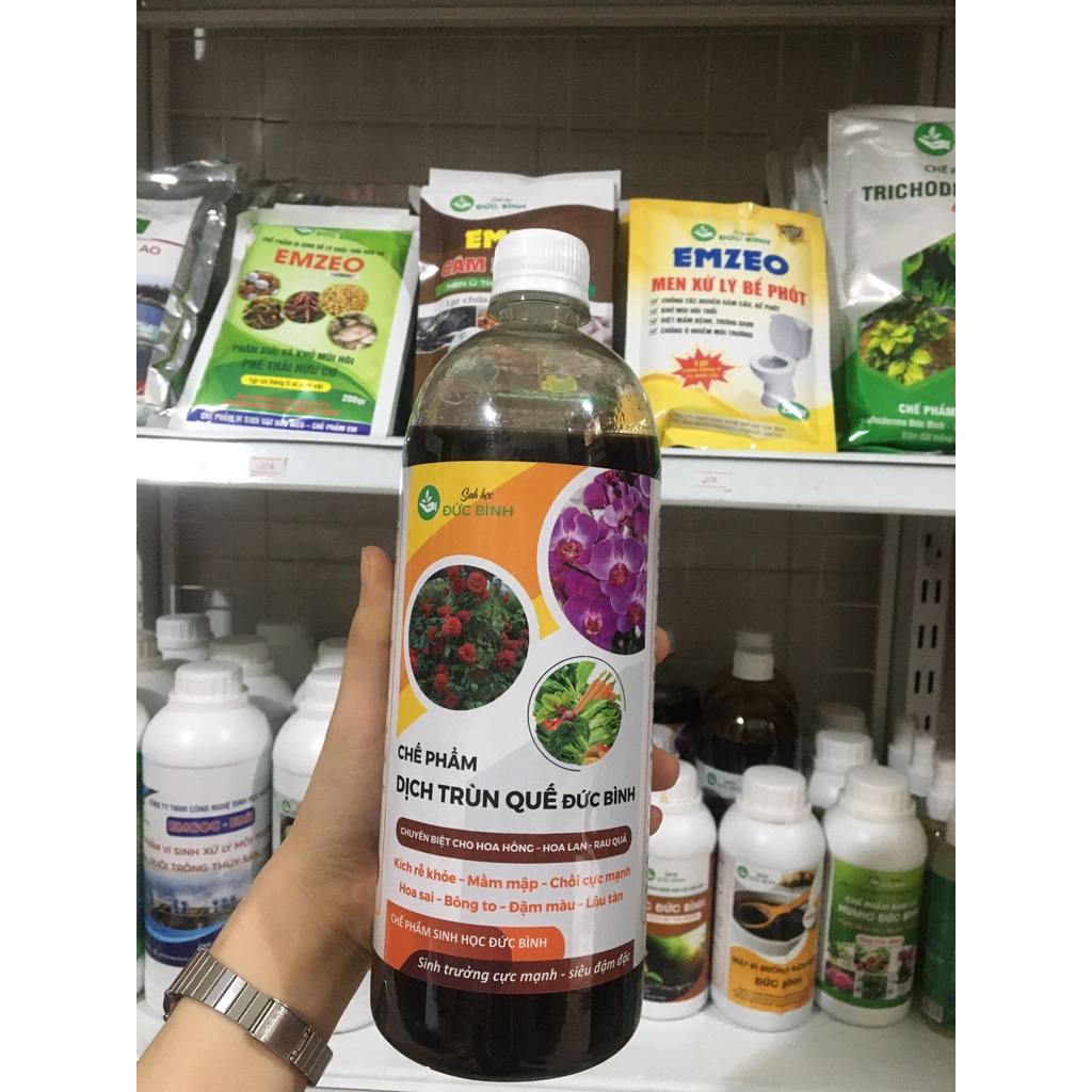 Dịch Trùn Quế Đậm Đặc Kích Thích Cây Trồng Sinh Trưởng Cực Mạnh