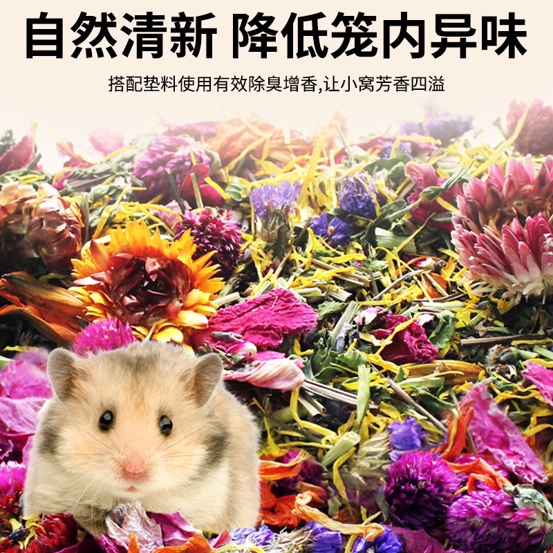 Hoa cỏ khô thảo mộc cho hamster. Thức ăn giảm tress cho hamster. Hoa cỏ khô lót chuồng jonsanty