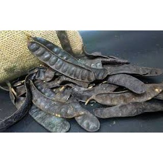 Trái Bồ kết khô 1kg