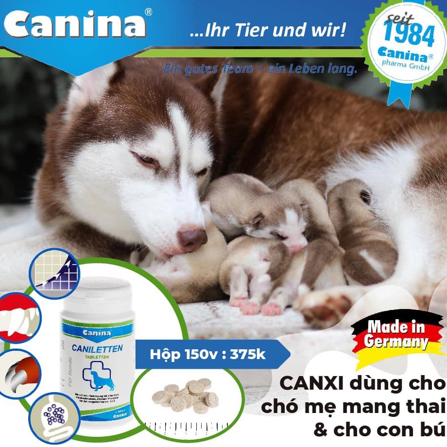 [DINH DƯỠNG CAO] HỘP 150 VIÊN CANXI cho Chó CANINA CANILETTEN 150 viên  - CANXI CHO CHÓ TRƯỞNG THÀNH VÀ CHÓ MANG THAI