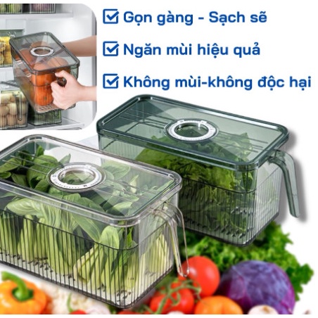 Hộp Đựng Thực Phẩm Tủ Lạnh Tách Nước Có Tay Cầm, Chất Liệu Cao Cấp, Trong Suốt, Đảm Bảo An Toàn Sức Khoẻ
