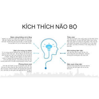 Tinh dầu sả chanh nguyên chất