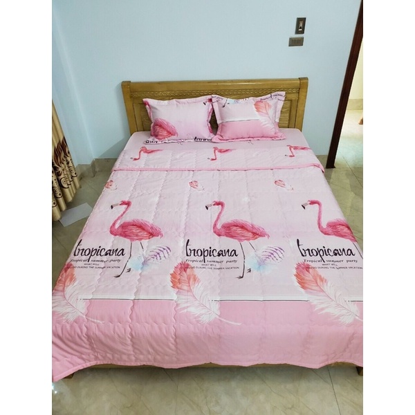 Set ga gối Tencel 40s