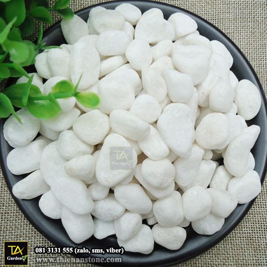 Đá Cuội Trắng Tự Nhiên 1 KG
