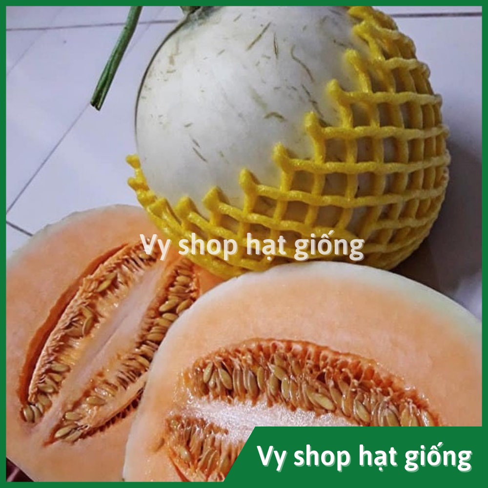Hạt giống dưa lê vỏ rạn ruột cam siêu ngọt Thái Lan gói 15 hạt