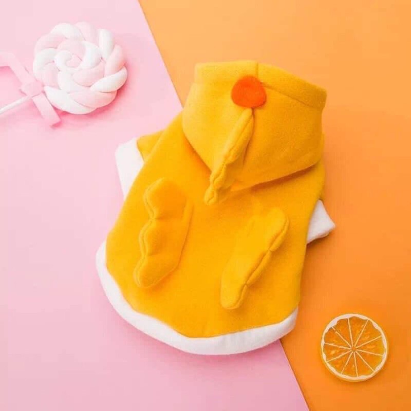 Áo xinh xắn cho thú cưng