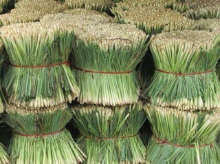 Tinh dầu sả