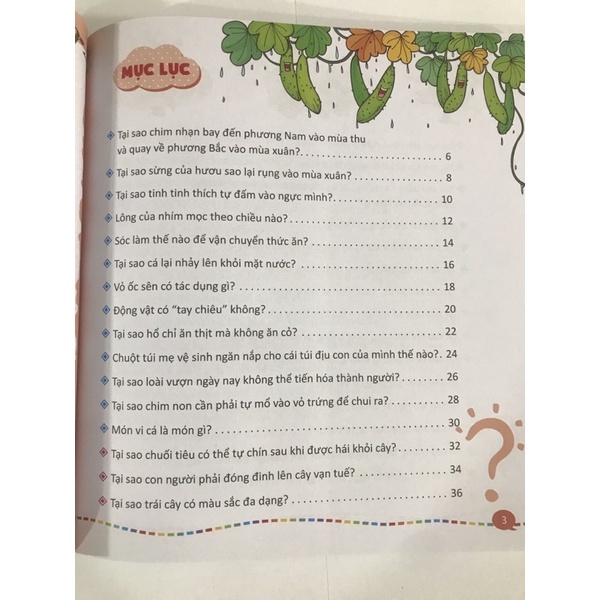 Sách - 10 vạn câu hỏi vì sao - Siêu nhí hỏi nhà khoa học trả lời