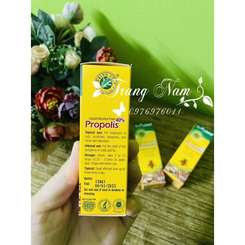 Keo ong Spring Leaf ÚC 25ml dạng nhỏ giọt