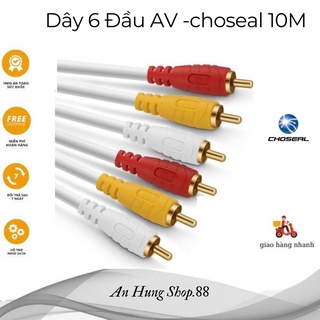 Dây av 6 đầu dài 10m