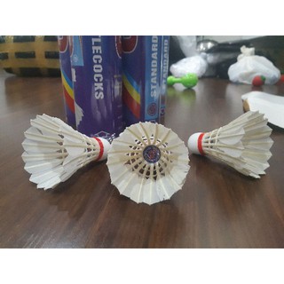 1 ỐNG CẦU LÔNG 88 (10 QUẢ)