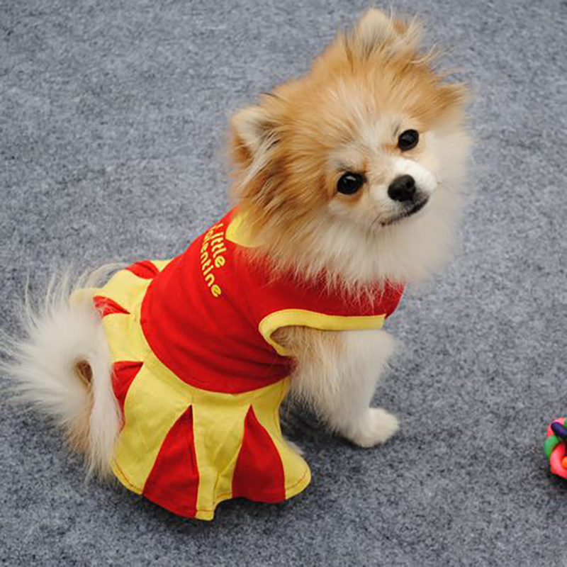 Đầm Công Chúa Chiwawa yorkies Dễ Thương Cho Thú Cưng