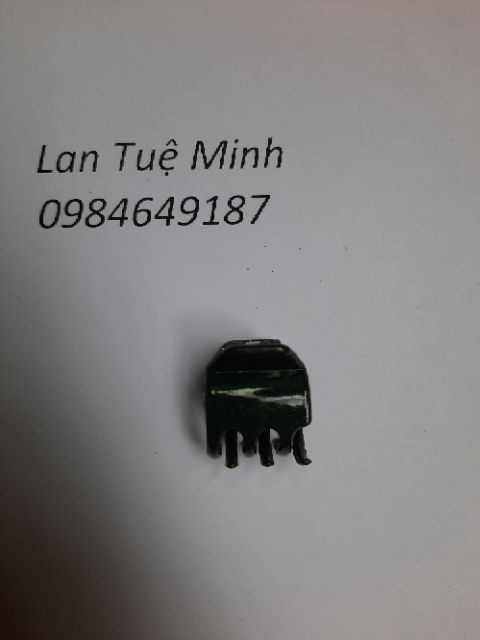 Combo 50 kẹp xanh đại chuyên dùng cố định lan thân lớn