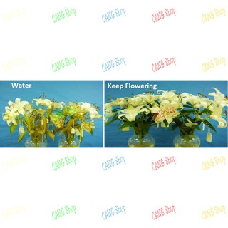 Nước cắm hoa lâu tàn Keep Flowering (1000ml)