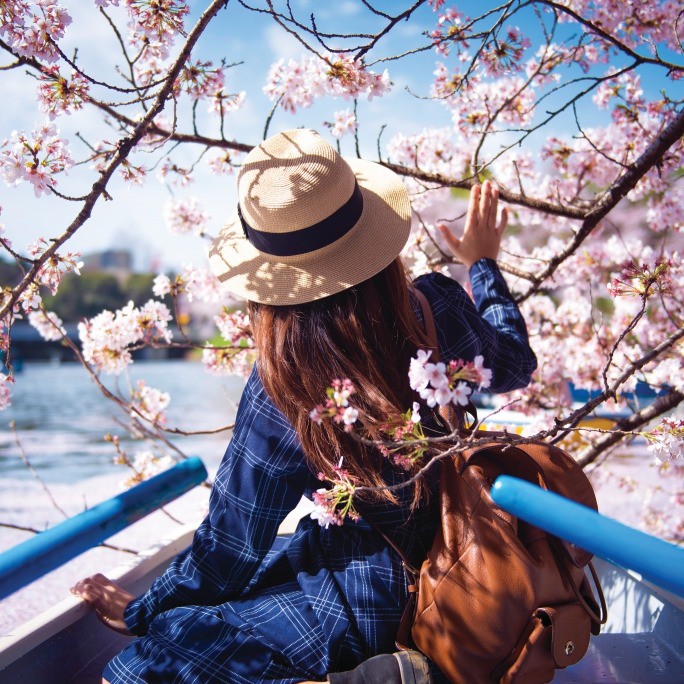 Healthy - Beauty.JP