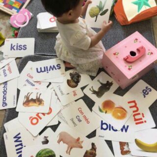 Bộ thế giới xung quanh ( to flashcard)