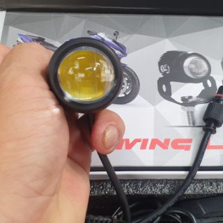 Led mini bi cầu
