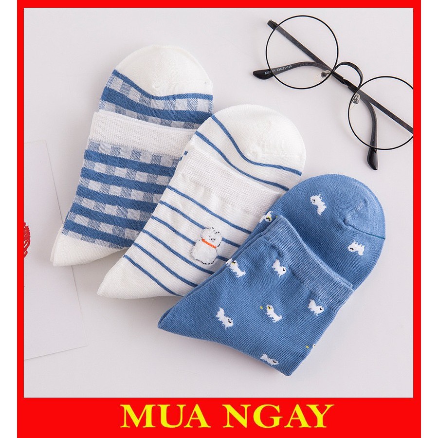 Vớ tất nam nữ tone xanh trẻ trung TN93