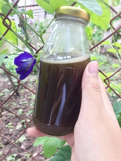 Siro Húng chanh thảo mộc